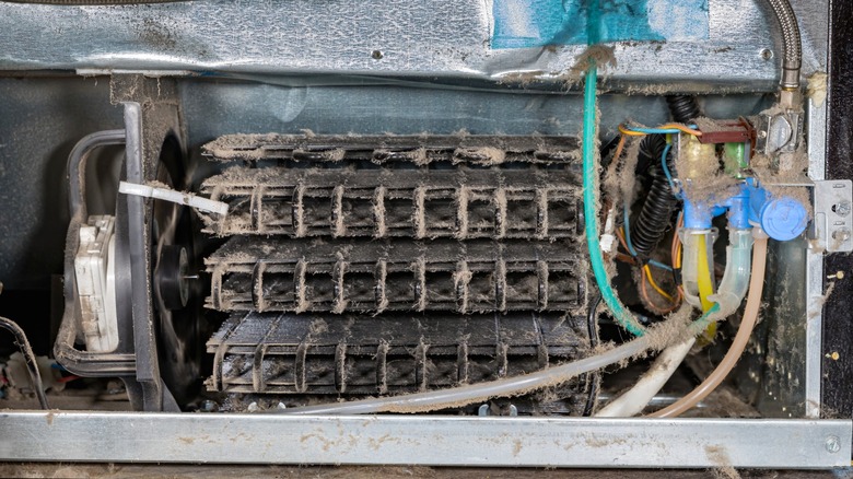 Dusty condenser coils behind fridge