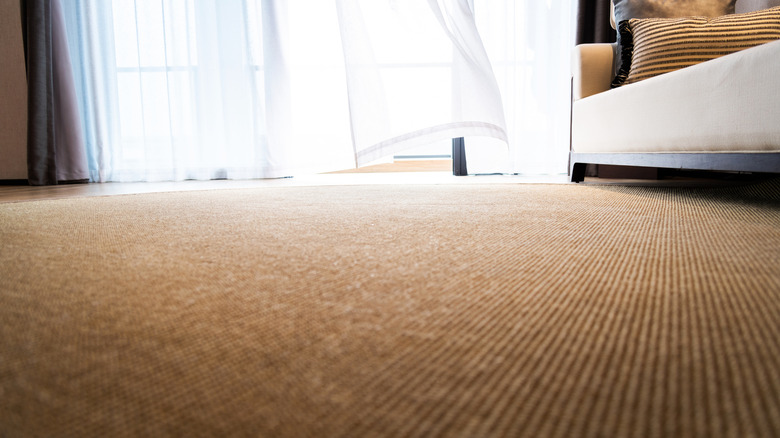 A modern living room with a brown, low-pile carpet