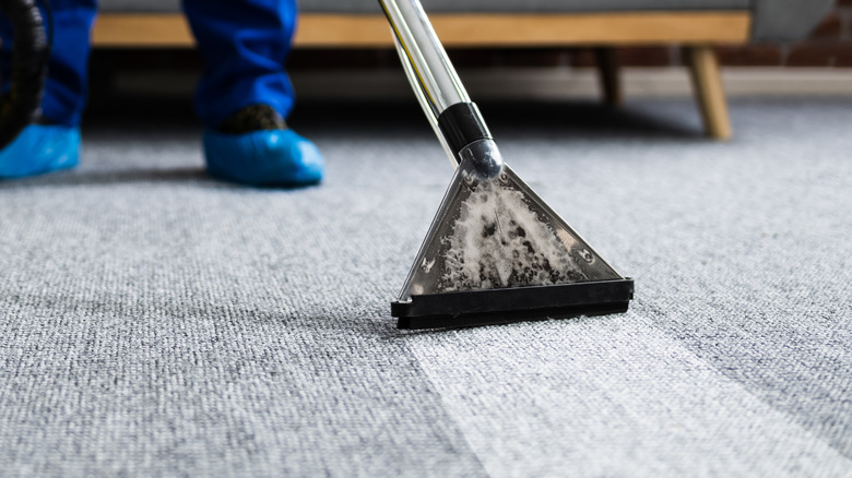 Close-up of a professional carpet cleaner cleaning a carpet, with satisfying contrast between the clean and dirty parts of the carpet.