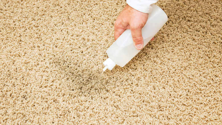 A person spraying a clear liquid onto a carpet from a squeeze bottle.