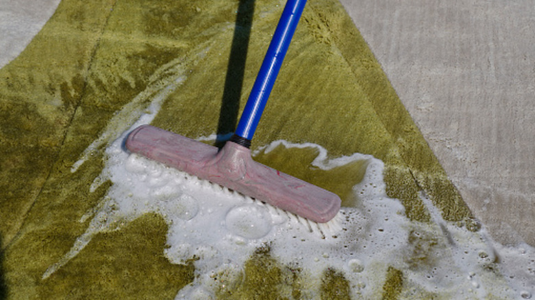 A brush cleaning a very wet carpet.