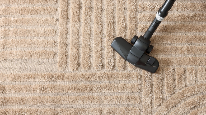Top-down view of a vacuum cleaner running over a carpet