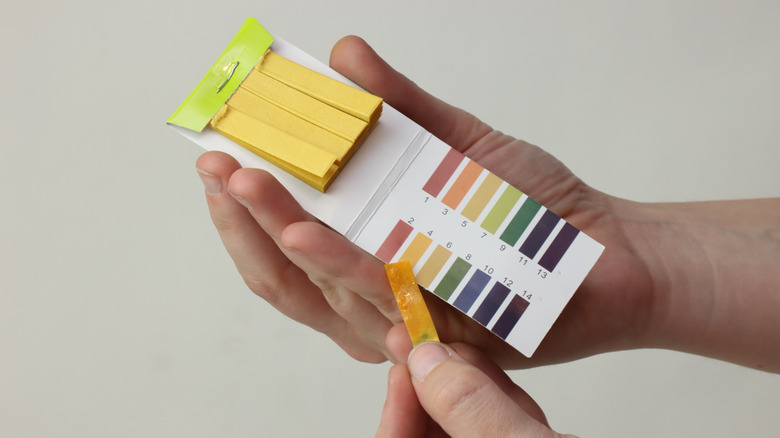 Hands holding pH testing strips