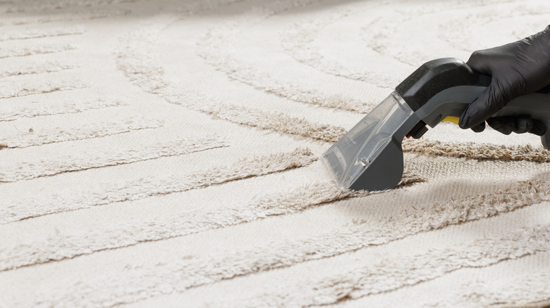 Close-up of a person cleaning a carpet with a suction wand, with a carpet cleaning machine in the background