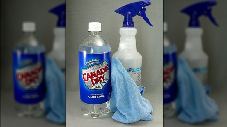 bottle of club soda next to spray bottle and cloth
