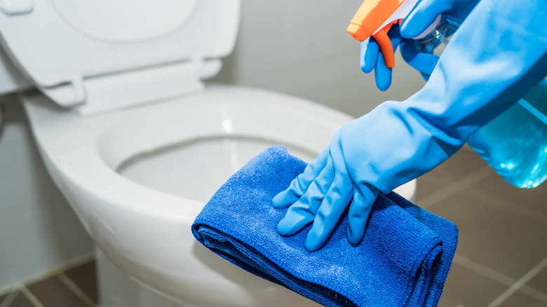 Cleaning the toilet