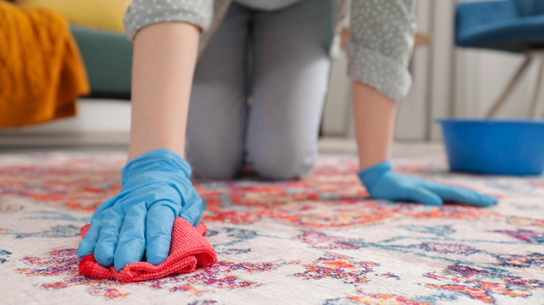 A woman spot-cleaning a rug