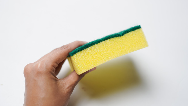 Close up of person holding a green and yellow kitchen sponge