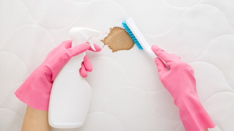person spot cleaning brown stain on mattress with spray solution and brush