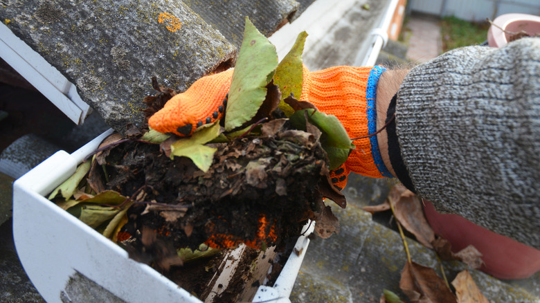 Cleaning the gutters on home