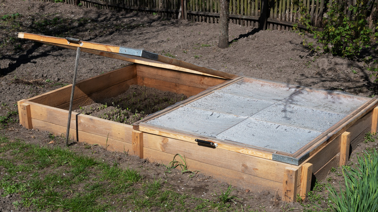 An outdoor cold frame with some seeds just starting to germinate