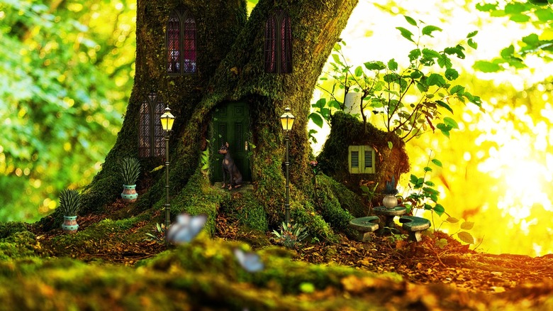 fairy house in a tree