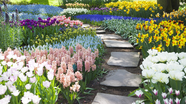 walking path with flowers
