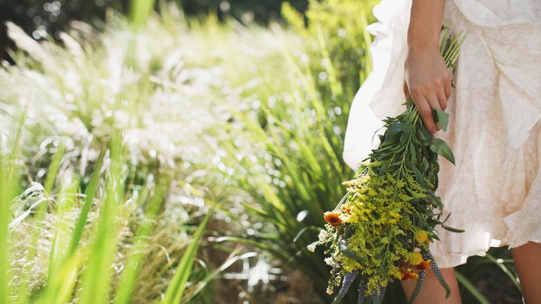 local flowers and plants