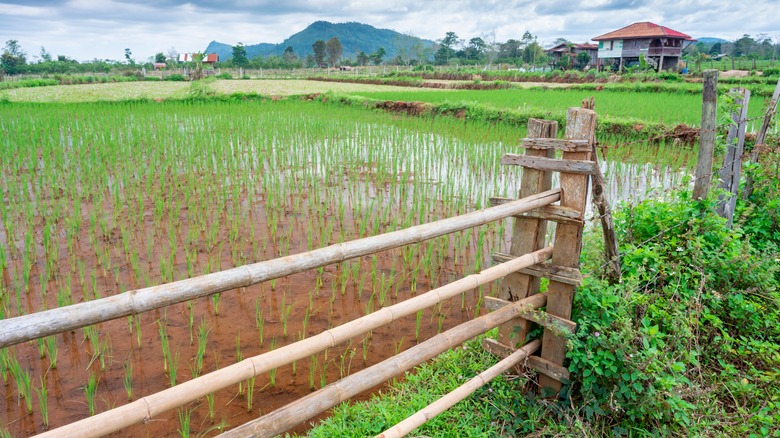 Short fence on property