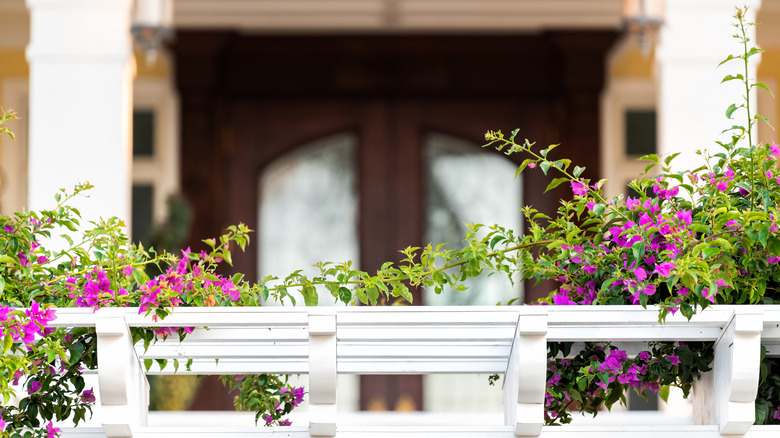 Overflowing planter boxes on a porch's railing