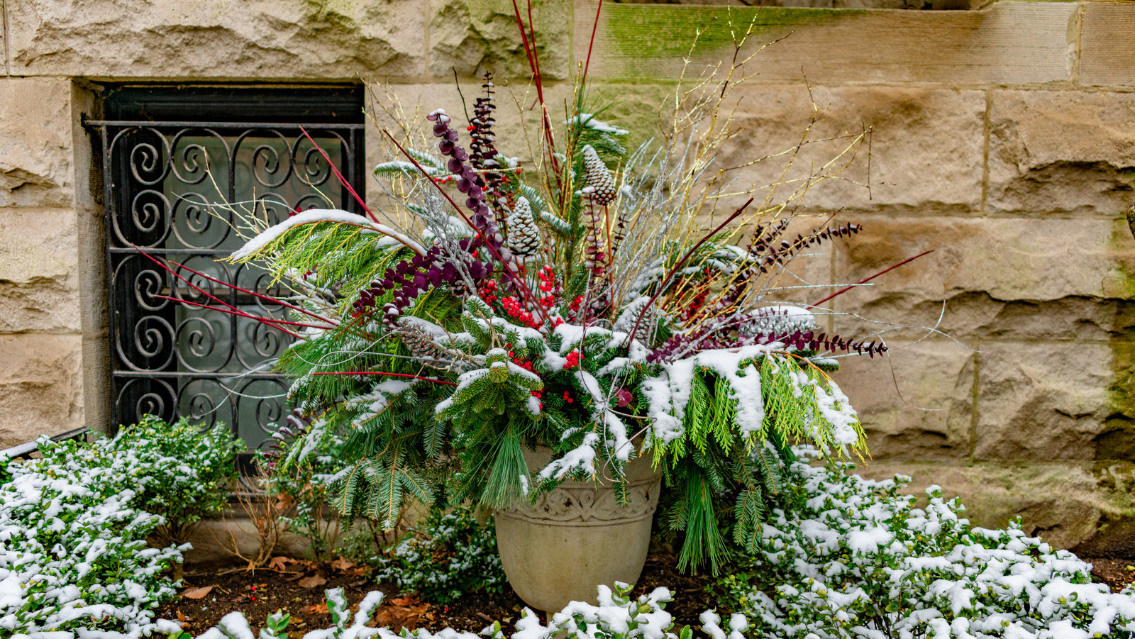 How To Create A Simple And Stunning Holiday Greens Display In Your
