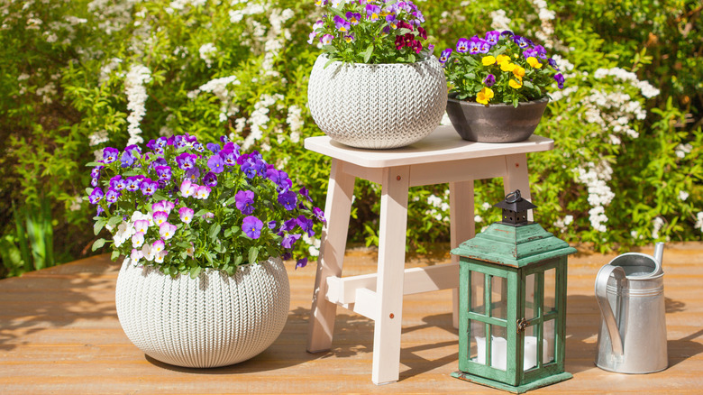 An assortment of filled planters and a lantern on a patio