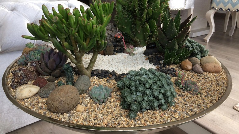 Pebble tray for plants