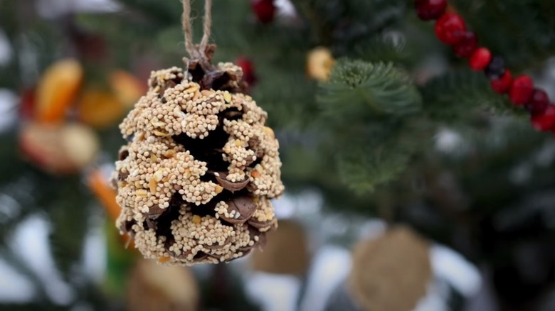 Outdoor decorated tree