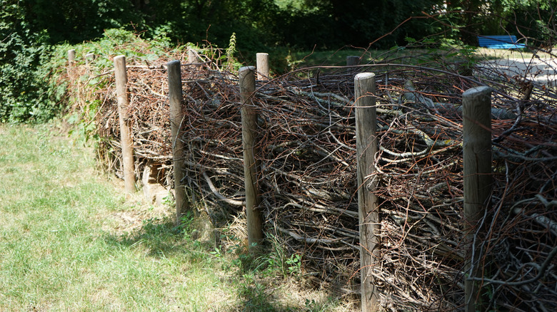 A dead hedge made from fence posts and pruned branches in a backyard.