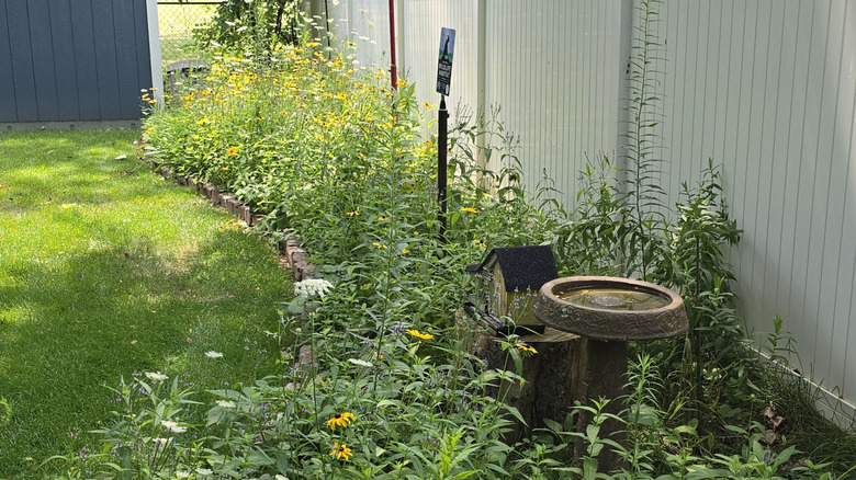 A backyard with a pocket prairie garden and wildlife-friendly features.