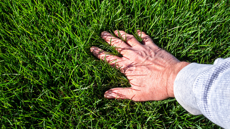 person running hand through grass