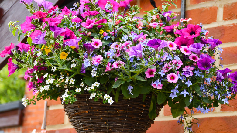 A planter with pink and purple flowers hangs against a brick wall