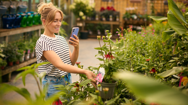Woman takes photos of a potted plant in a nursery