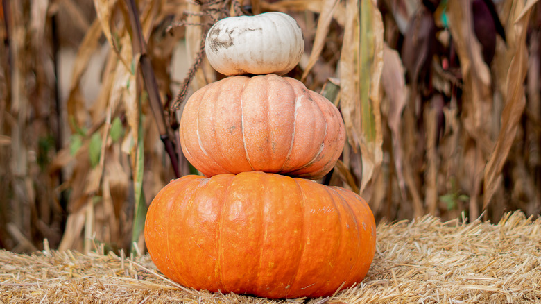 Orange and white stacked pumpkins