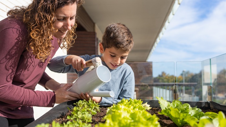 Mother and son tend garden