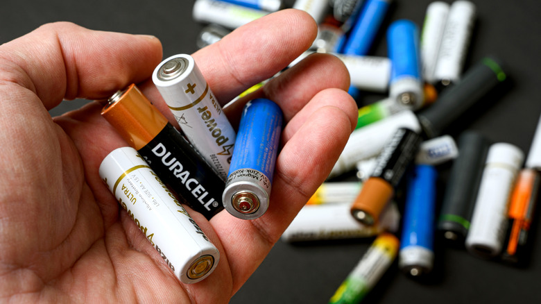 person holding single-use batteries