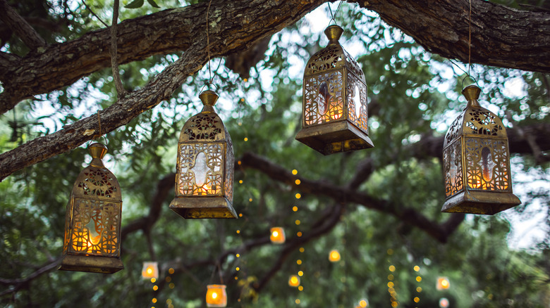 lanterns hanging on tree branches