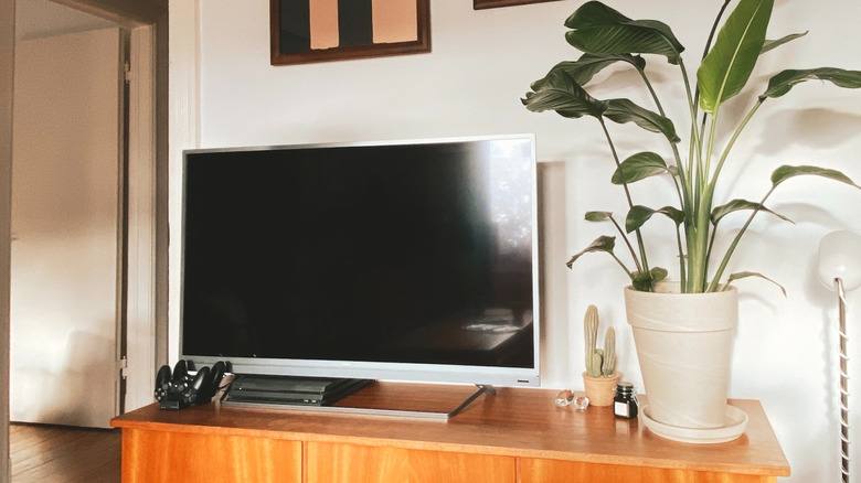 television with wood stand