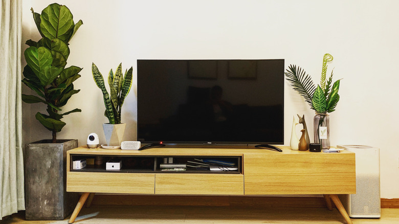 plants around television stand