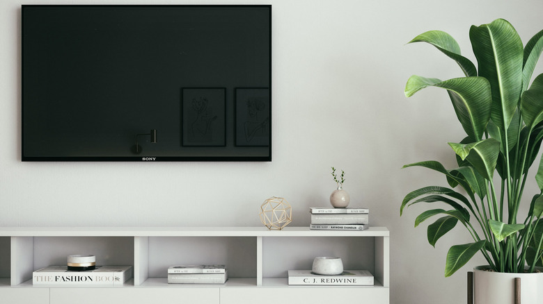 monochromatic color palette around television