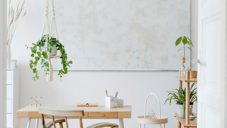 plant hanging above desk