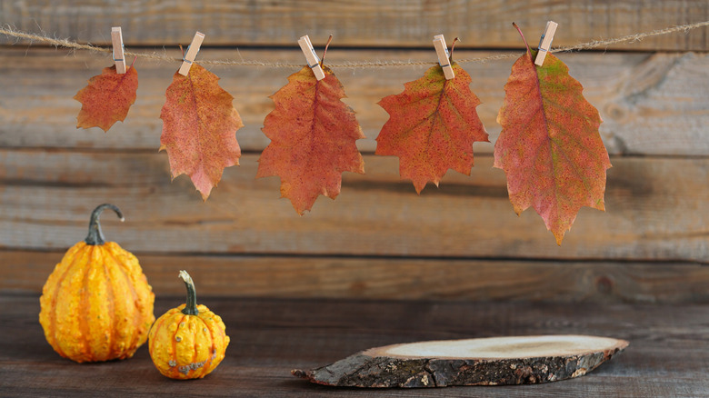 Dried fall leaves strung up on twine, with two decorative yellows pumpkins on the table