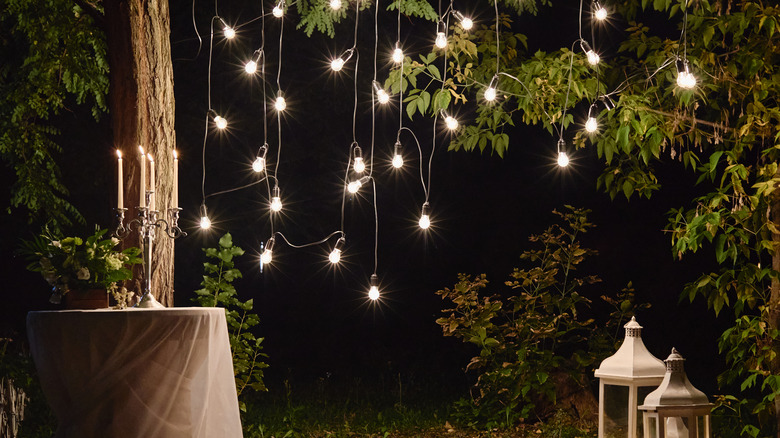 string of lights in trees