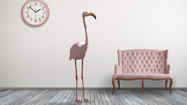 flamingo bird decoration in home