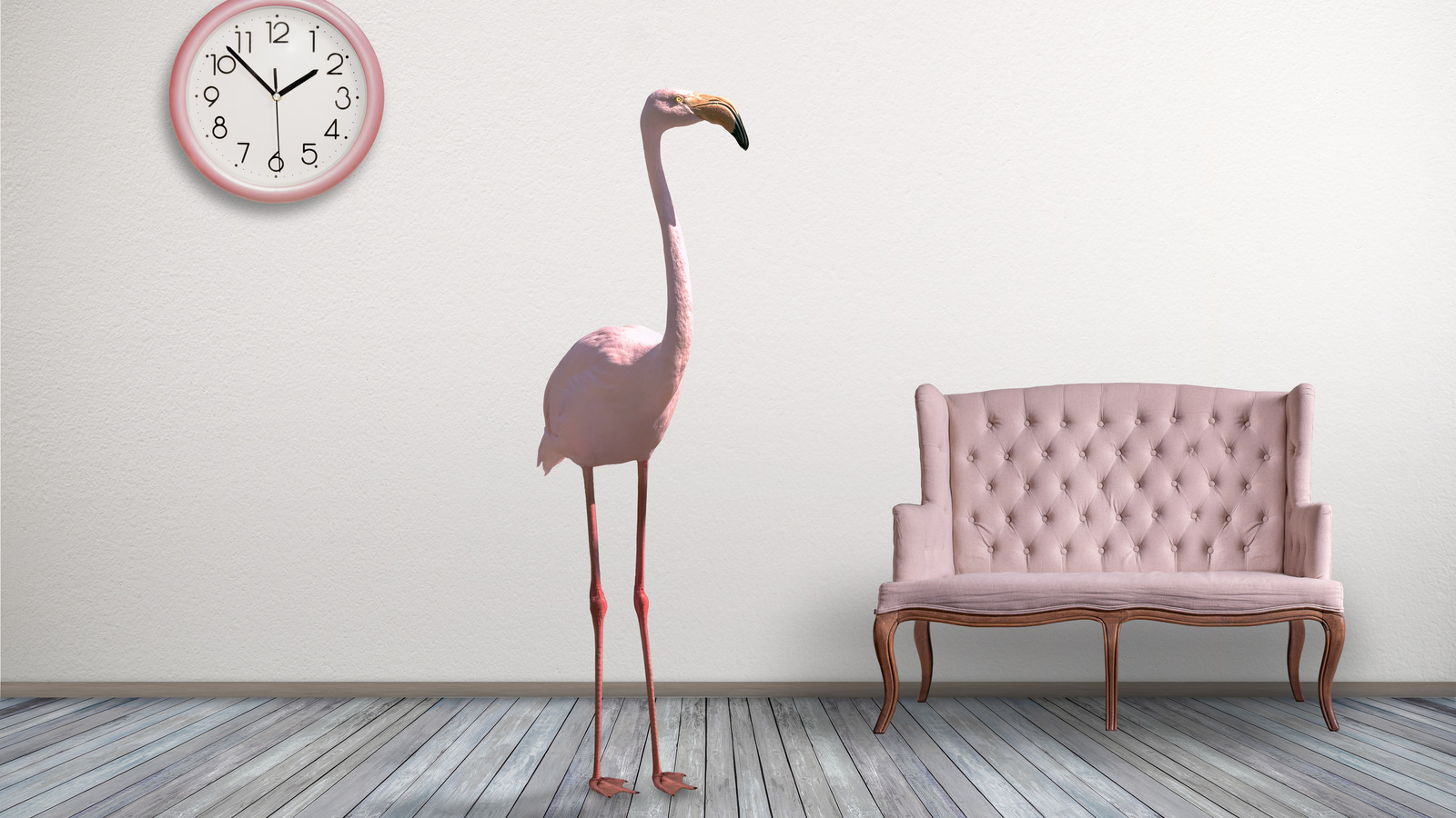 How To Decorate With Flamingos