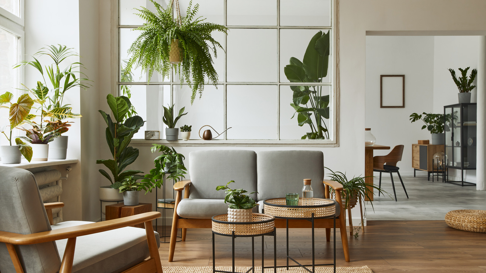 https://www.housedigest.com/img/gallery/how-to-decorate-with-indoor-plants/l-intro-1660007881.jpg