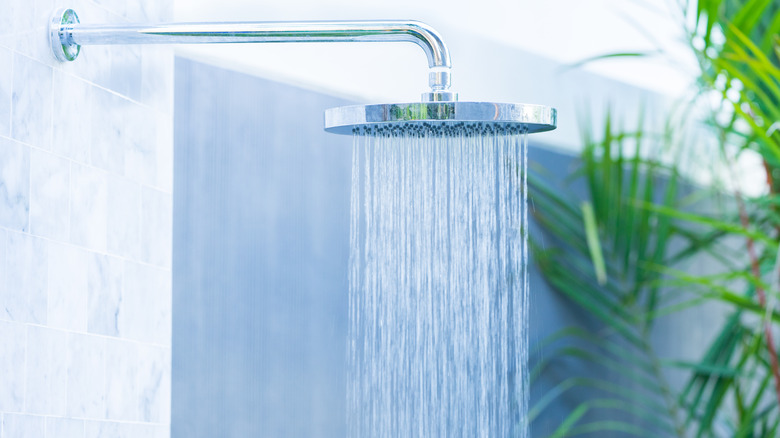 silver rain shower head