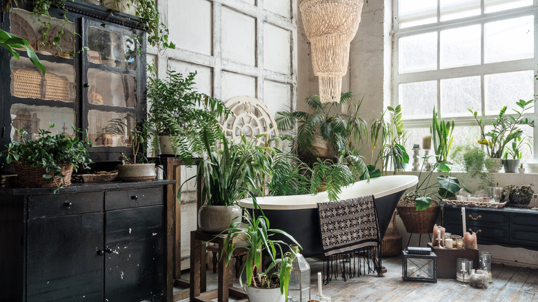 bathroom with green houseplants