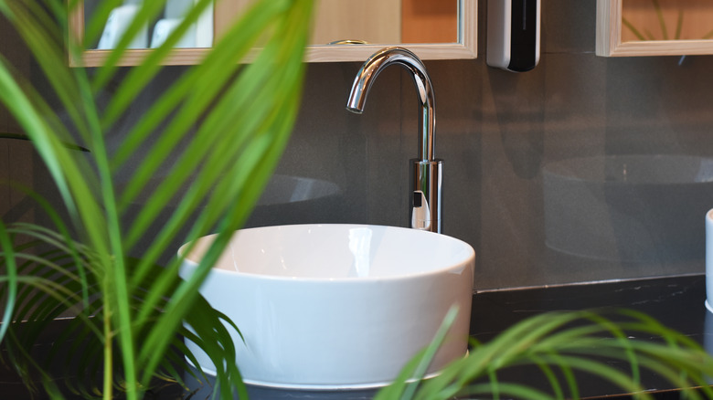 Bathroom sink and plants