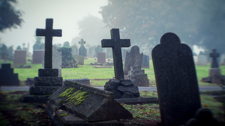 Gravestones in a cemetery
