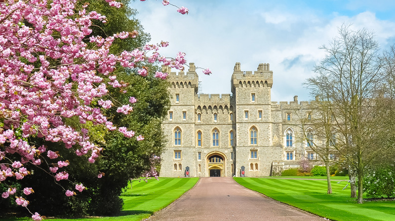 Windsor Castle with blooming flowers