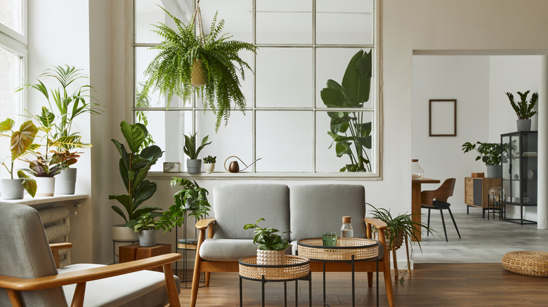 neutral room with many plants