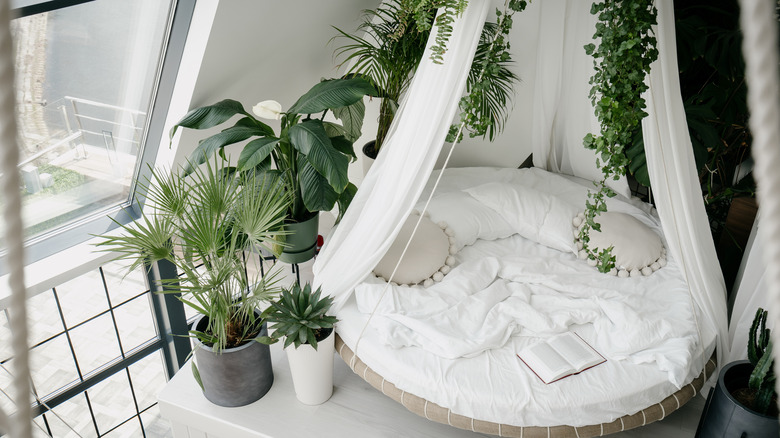 white bohemian room with plants