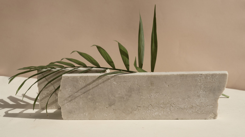 concrete slab with palm leaf